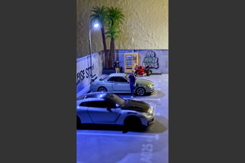 Diverse Präsentationen/Dioramen Bild 6