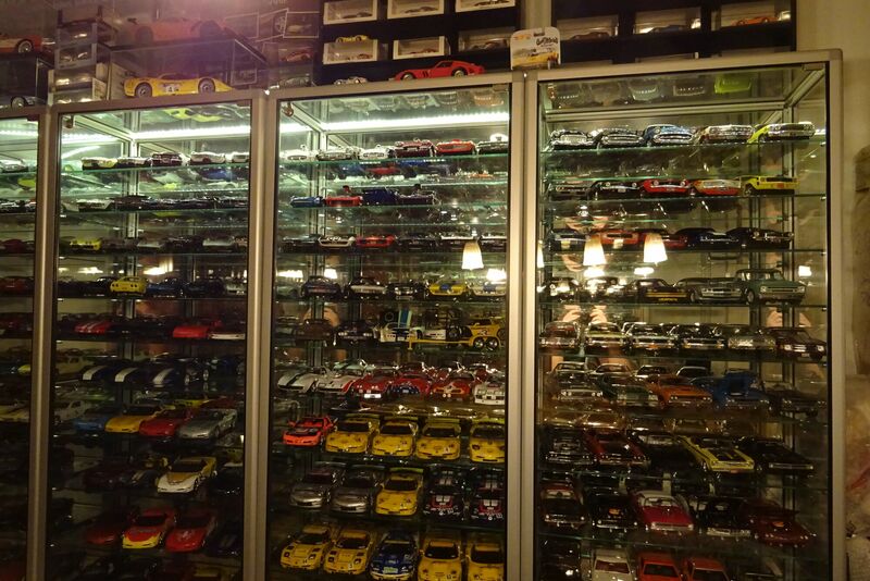 Übersicht Sammlung / Vitrinen Bild 5