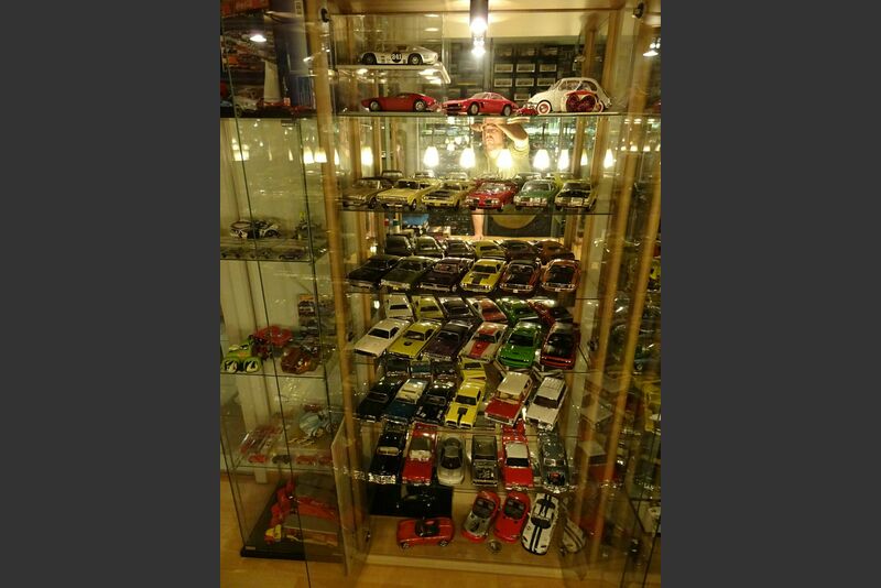 Übersicht Sammlung / Vitrinen Bild 31