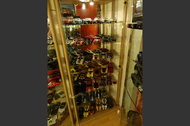 Übersicht Sammlung / Vitrinen Bild 33